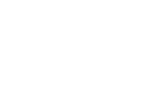 hikvision-logo